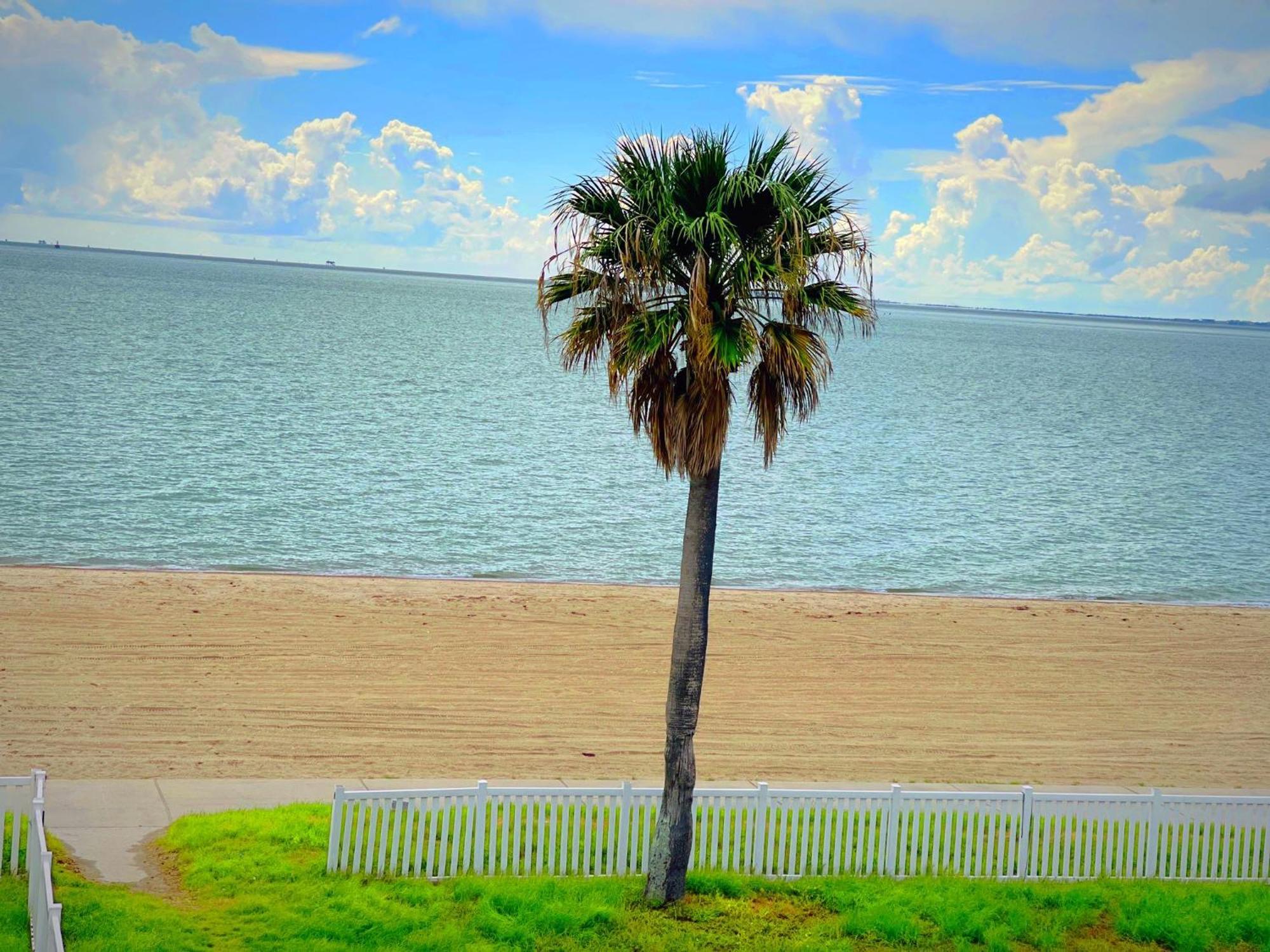 Sea Shell Inn On The Beach คอร์ปัสคริสตี ภายนอก รูปภาพ